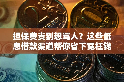 武汉担保费贵到想骂人？这些低息借款渠道帮你省下冤枉钱