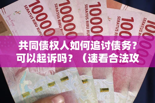 武汉共同债权人如何追讨债务？可以起诉吗？（速看合法攻略）
