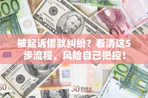 武汉被起诉借款纠纷？看清这5步流程，风险自己把控！