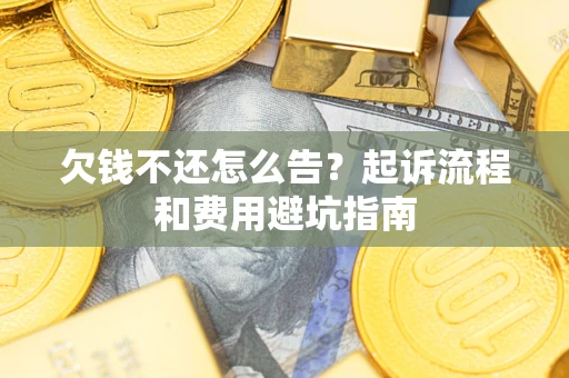 武汉欠钱不还怎么告？起诉流程和费用避坑指南