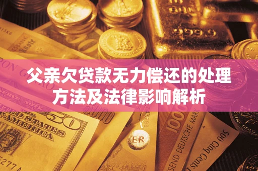 武汉父亲欠贷款无力偿还的处理方法及法律影响解析